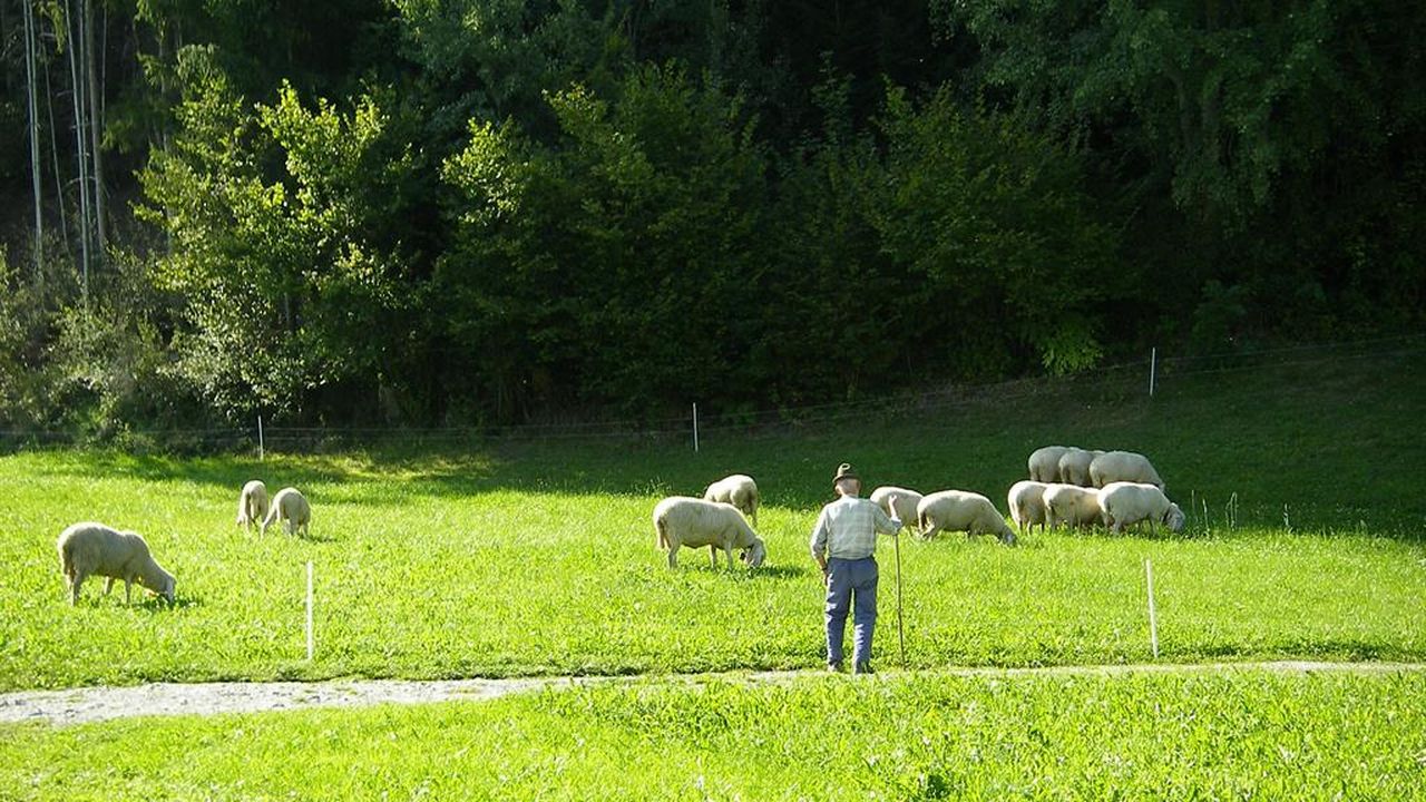 Zillertal-Fügenberg-Landhaus-Kröll-Gästehaus-Somme Zillertal-Fügenberg-Landhaus-Kröll-Gästehaus-Somme